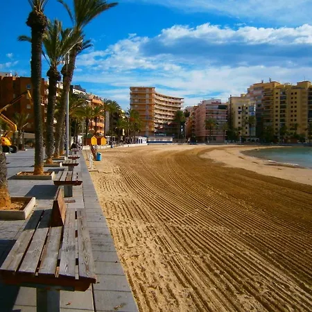 Estudio En Blasco Ibanez Torrevieja