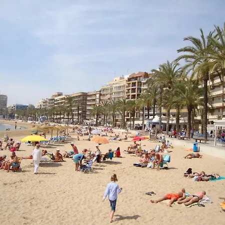Estudio En Blasco Ibanez Torrevieja